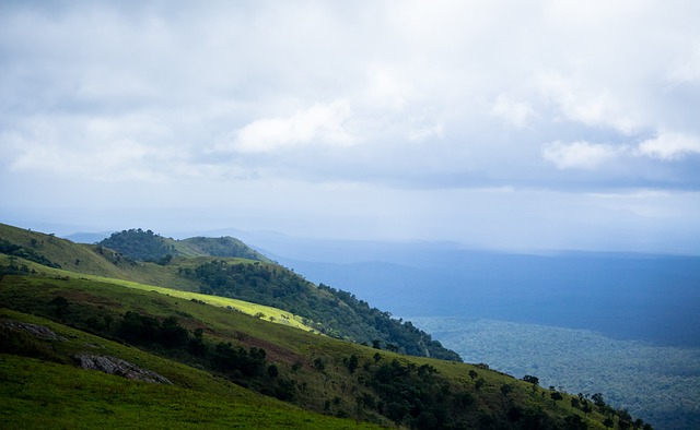 山东泰山应